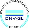 DNV Logo.jpg